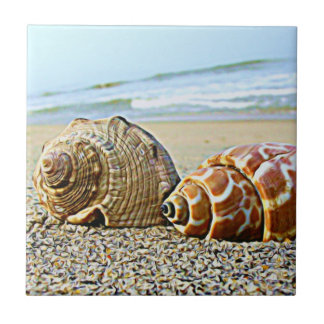 Pelo azulejo do mar…