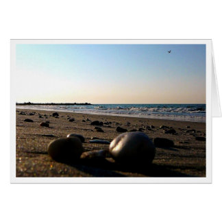 Pelo cartão marítimo