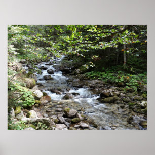 Pelo Rio Fotografia Poster