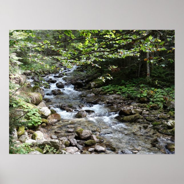 Pelo Rio Fotografia Poster (Frente)