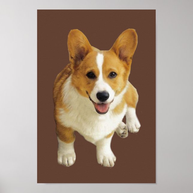Pembroke Welsh Corgi Happy Impressão (Frente)