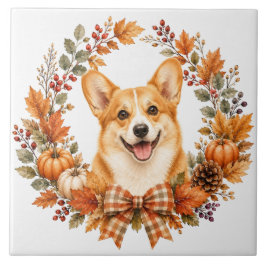 Pembroke Welsh Corgi Outono