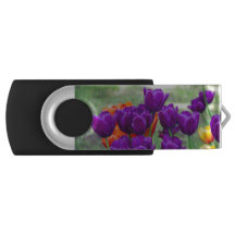 Tulipas roxas escuras num dia ensolarado no jardim