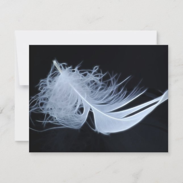 Pena branca - angélica por natureza (Frente)