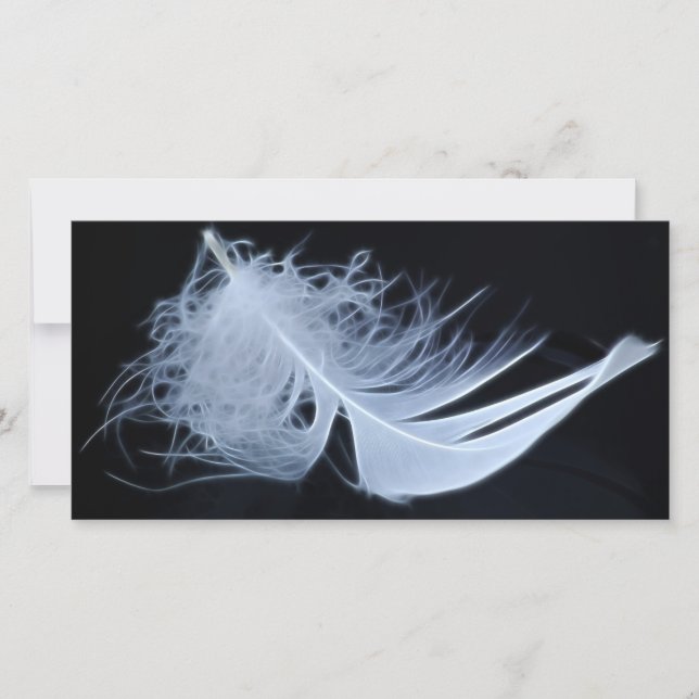 Pena branca - angélica por natureza (Frente)