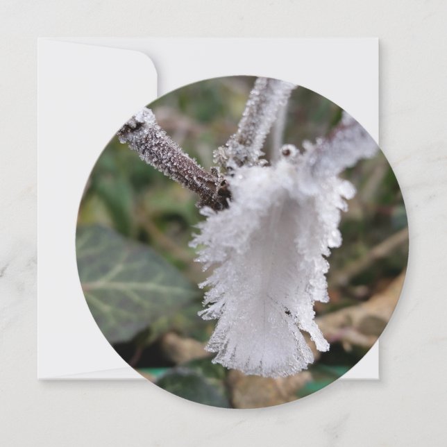 pena congelada (Frente)