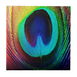 Pena de Peacock Vibrante