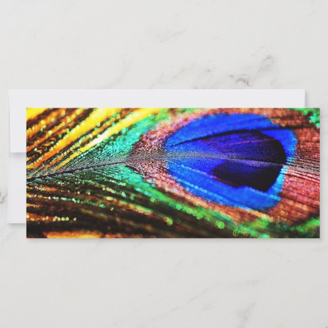 Pena de Shirley Taylor (Frente)