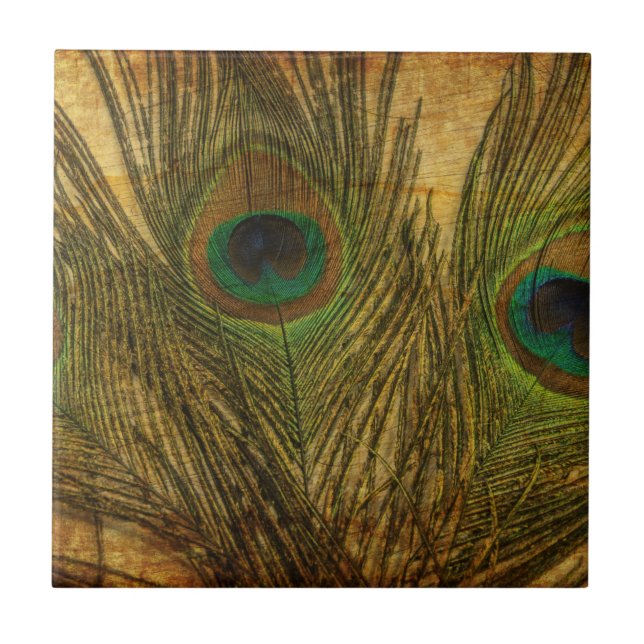 Penas de Peacock (Frente)