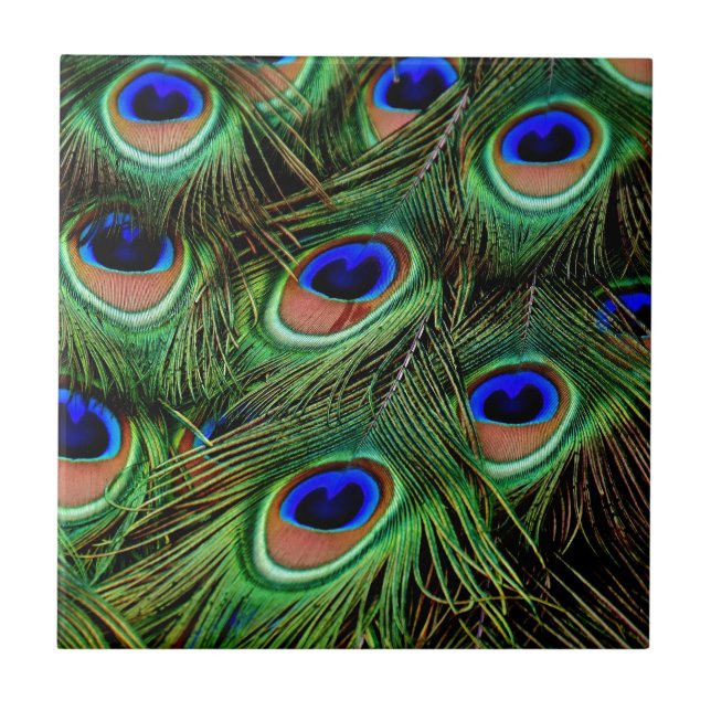 Penas de Peacock (Frente)