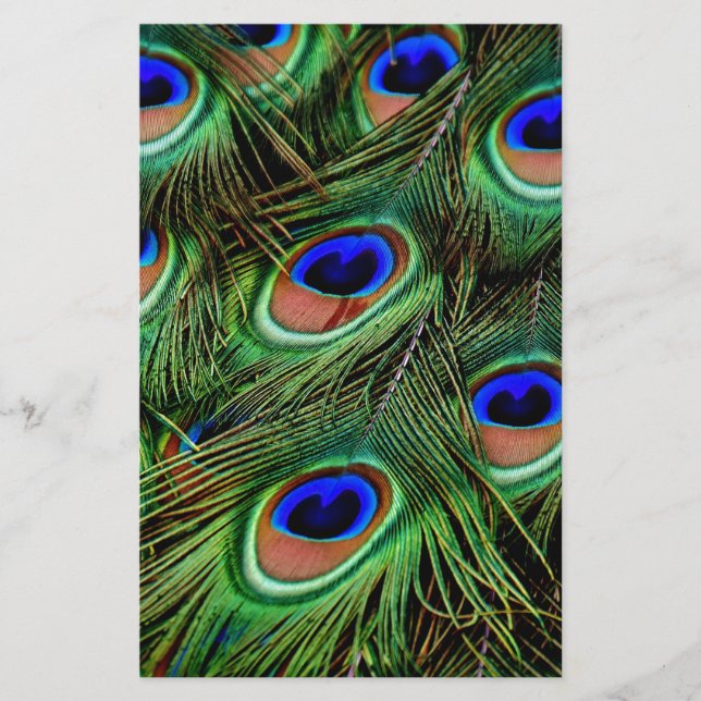 Penas de Peacock (Frente)