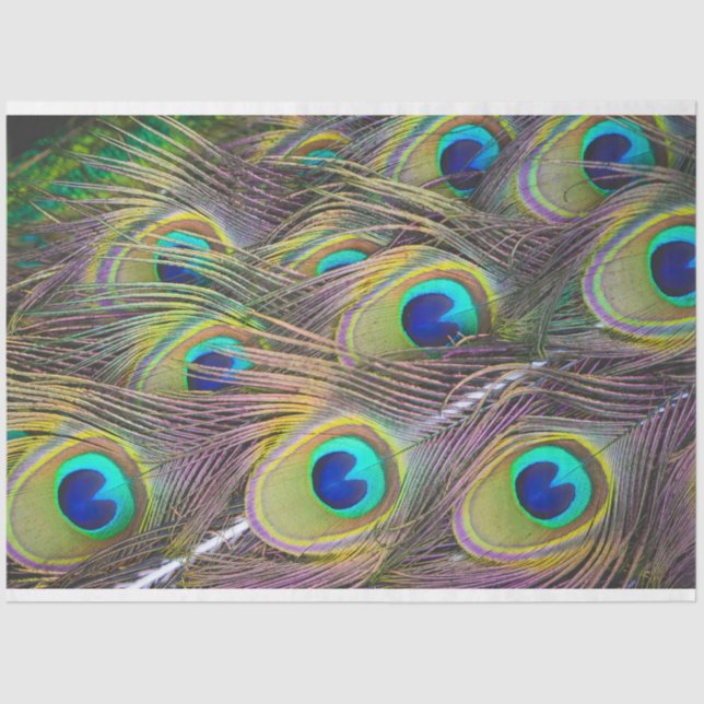 Penas de Peacock 1 Papel de Tecido de Decoupage (Frente )