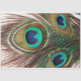 Penas de Peacock 2 Papel de Tecido de Decoupage