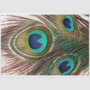 Penas de Peacock 2 Papel de Tecido de Decoupage