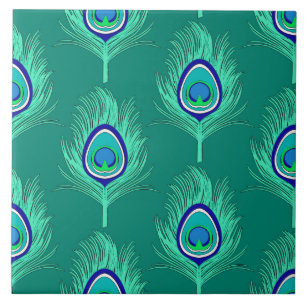 Penas de Peacock, Aqua em Turquoise / Peacock