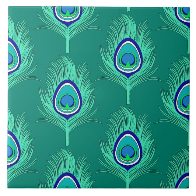 Penas de Peacock, Aqua em Turquoise / Peacock (Frente)