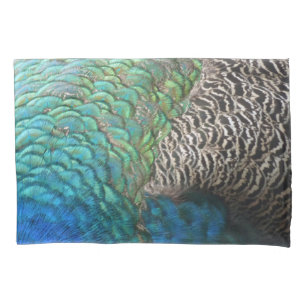 Penas de Peacock I Abstrato