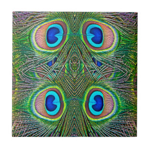 Penas de Peacock Kaleidoscope Impressão
