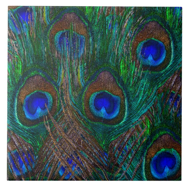 Penas de Peacock Vibrantes, Etapa de Estilo (Frente)