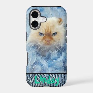 Penas do gato do gatinho