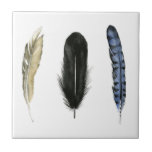 Penas Moles I<br><div class="desc">Aproveite esta nova design de aquarela criativa em um produto ou peça wallart para aprimorar e agregar ao mundo ao seu redor. Artista: Grace Popp</div>