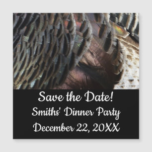 Penas Selvagens Turcas I Abstrato Nature Design