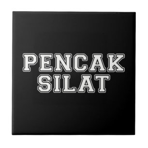 Pencak Silat