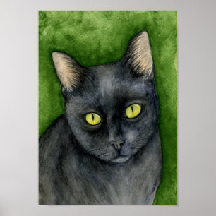 Penélope - o impressão afortunado do gato preto