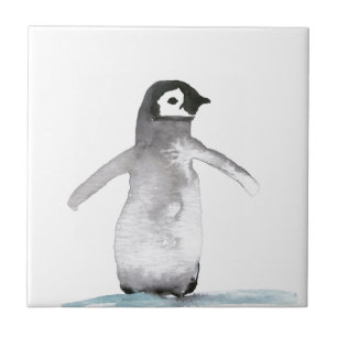 Penguin Bird Willife Colorful