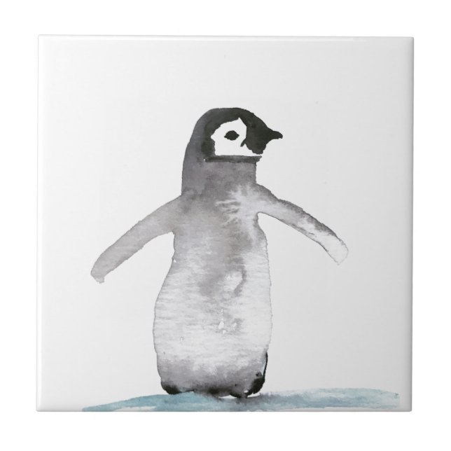 Penguin Bird Willife Colorful (Frente)