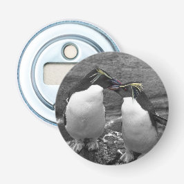 Penguin Colour Splash