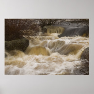 Pennant Brook, impressão de arte fina
