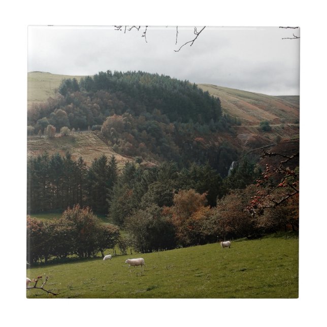 Pennant Valley Wales (Frente)