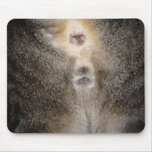 Pensamento de você gato Mousepad