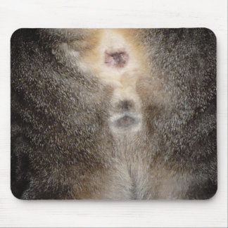 Pensamento de você gato Mousepad