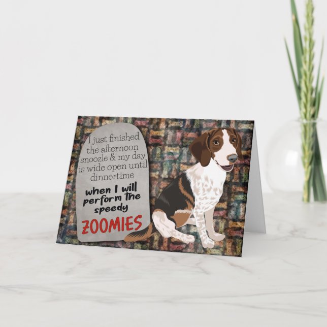 Pensamento hilário do seu Cartão de Aniversário de (Frente)