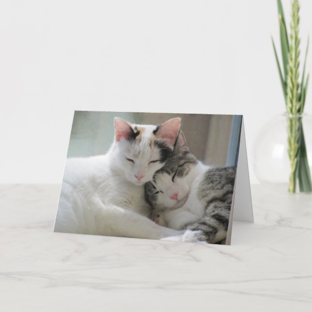 Pensando em cumprimentar o cartão (Frente)