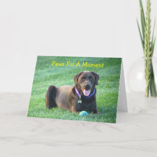 Pensando Em Seu Cartão De Saudação De Labrador Ret