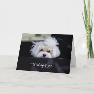 Pensando em seu cartão dobrado