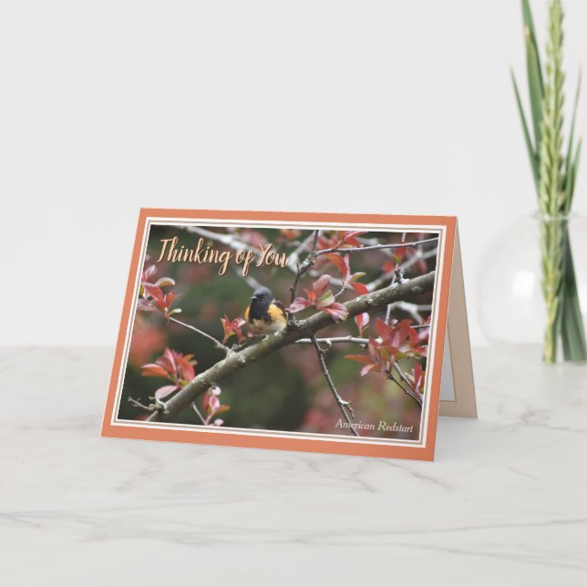 Pensando em você Belo Cartão de Saudação de Pássar (Frente)