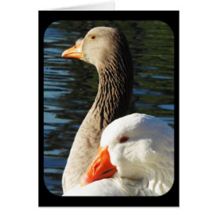 Pensando em você - Cartão