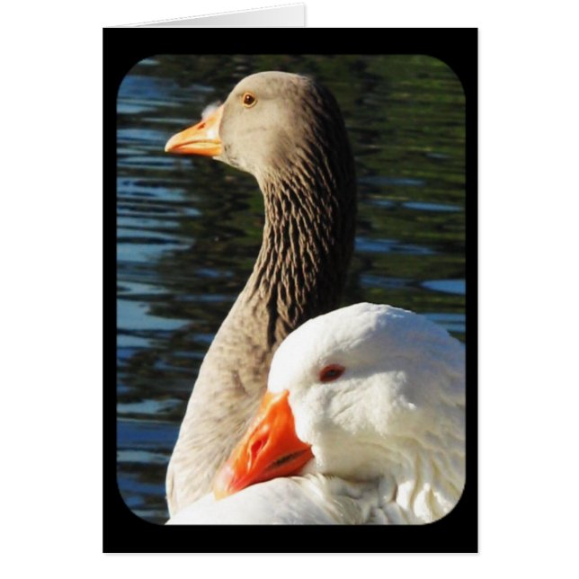 Pensando em você - Cartão (Frente)