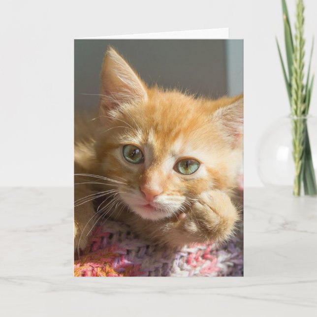 PENSANDO EM VOCÊ GINGER KITTEN CAT CARTÕES (Frente)