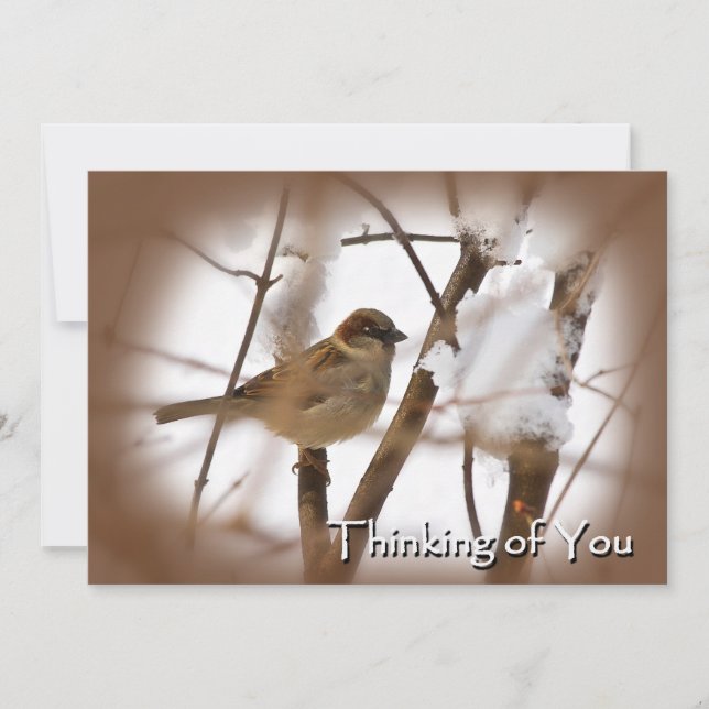 Pensando em vocês Cartões - Castanho com Pássaro (Frente)