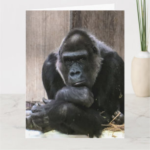 PENSANDO EM VOCÊS GORILLA GRANDES CARTÕES GREETING