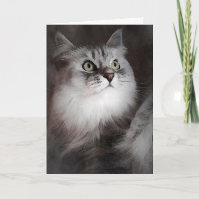 Pensando no seu cartão (Frente)