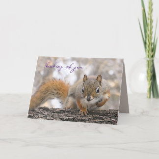 Pensando no seu cartão 7 x 5" Sr. Bickles