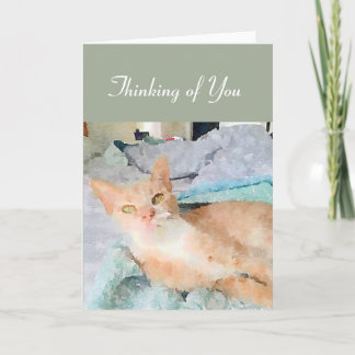 Pensando no seu cartão de nota