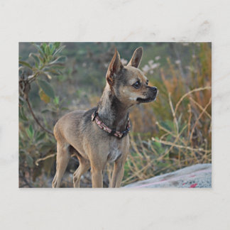 Pensando no seu cartão postal