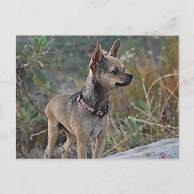 Pensando no seu cartão postal (Frente)